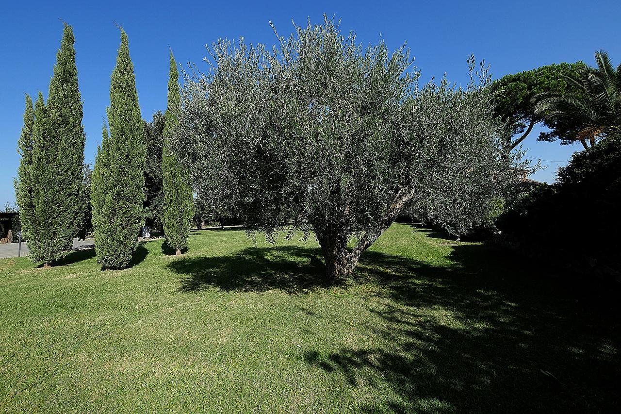 Agriturismo Il Pelago Castagneto Carducci Extérieur photo